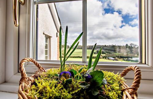 3 Bed in Dovenby 90920 - Foto 12