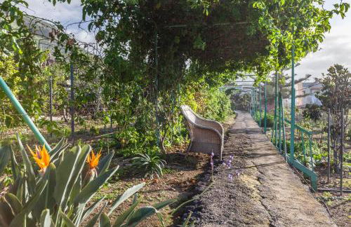 Casa Victor - Apartment Antonio - Foto 19