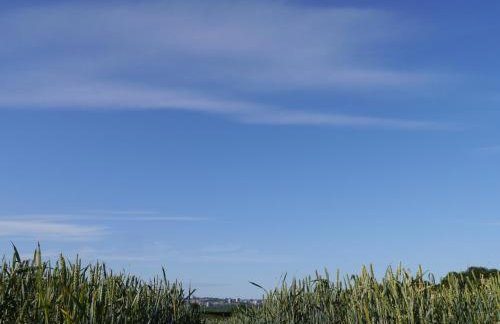 Riding Farm Cottages - Foto 38