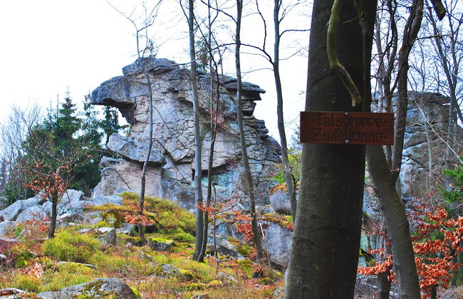 Ferienwohnung Familie Kappauf & Petrik - Foto 9