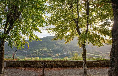 IBibiena -SUITE CASA FIORITA - Foto 43