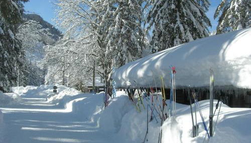 Ferienwohnung Vogel - Foto 4