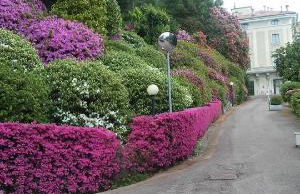 Residenza del Pascià - Appartamento Camphora - Foto 41