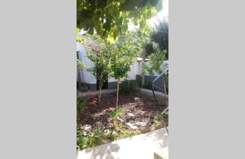 Casa Isabel 2 bedroom apartment near Porto - Foto 8