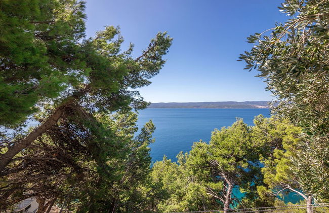 Apartments Djani - Foto 36