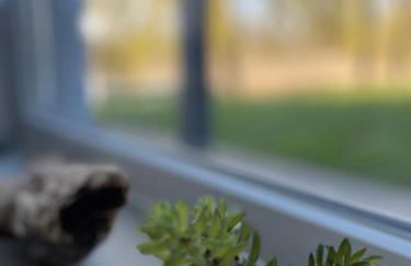 Trentseeparadies - Foto 37