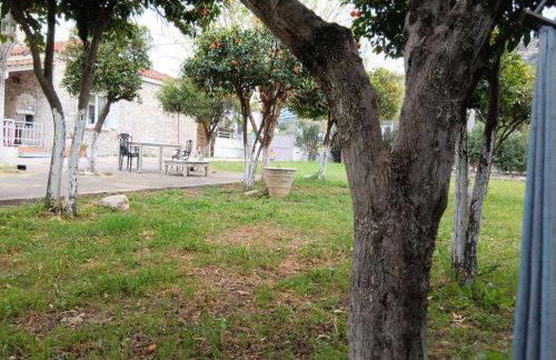 ΆΘΟΣ (ATHOS) - Foto 59