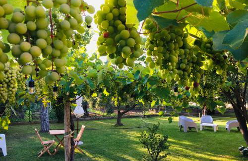 Az. Agr. Parco dei Buoi - Foto 1