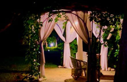 Domaine Plan des Devens - Foto 10