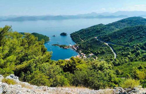 Baldo's Happy Garden- BRAND NEW - Foto 23