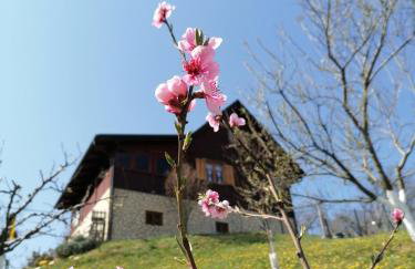 Vita Natura with sauna and jacuzzi - Foto 11