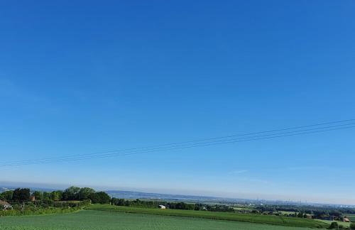 Country Manor House - Foto 32