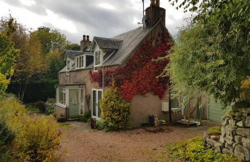 Smithy Cottage - Photo 1