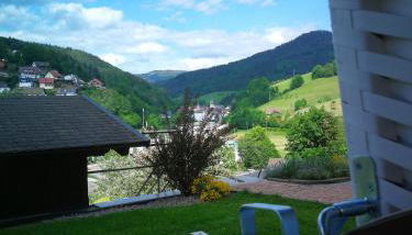 Ferienwohnung Schwarzwaldsteig - Foto 4, Other