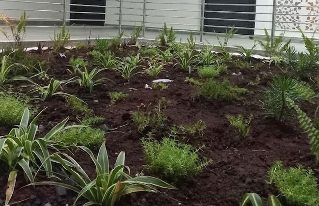 Lovella Suites Gold Park - Foto 14