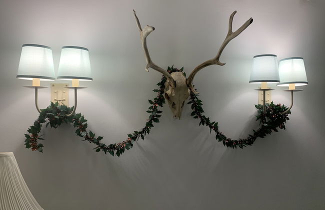 Beautiful Cottage Near Harlech With Ocean Views - Foto 20