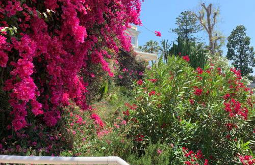 La Perla di Ponente - Photo 6