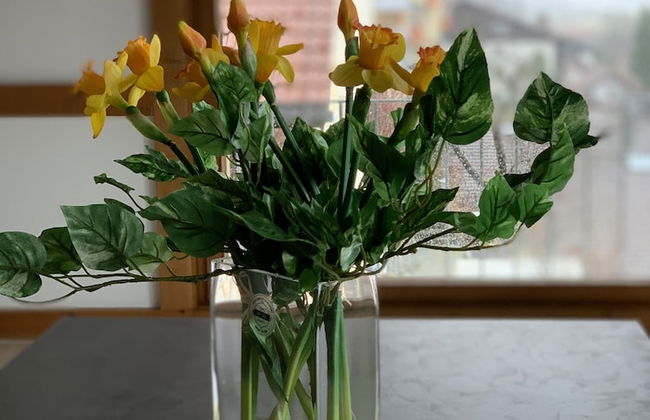 Sanosueno 2 - Toller Bergblick - Foto 19