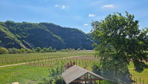 Ferienwohnung Arens - Foto 4