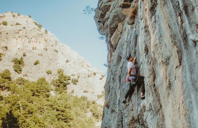 Kadir's Tree Houses - Photo 11