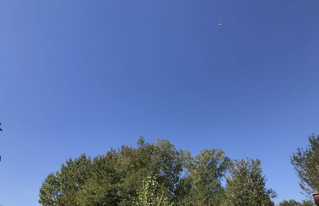 Oasi del Vetoio - Photo 19