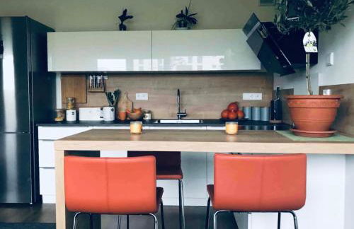 Bright new studio 43m2 with a beautiful garden - Photo 4