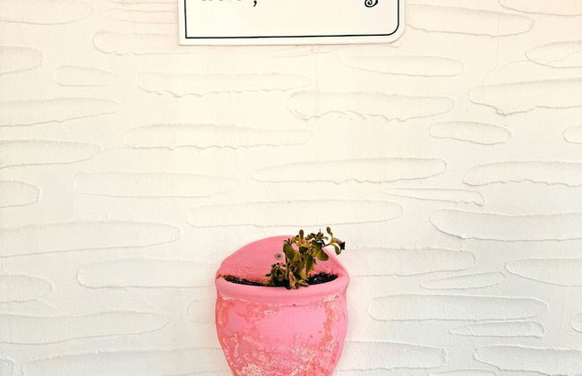 Tas Apart - Photo 51