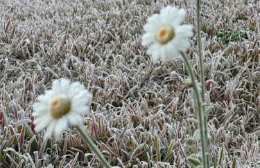 Le Cottage - Foto 29