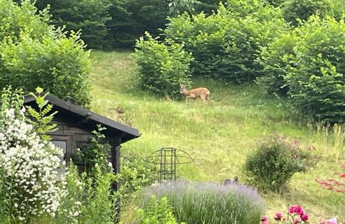 Ferienwohnung Baumkrone - Foto 13