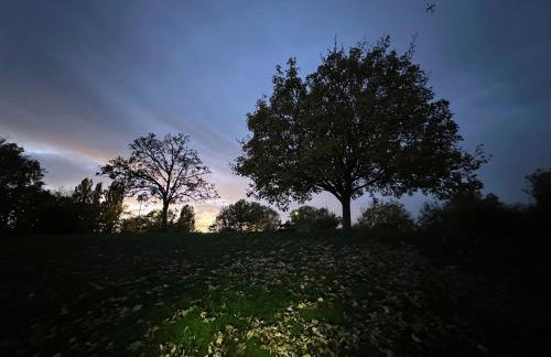 BrightOwl Waterside Narrowboat Cottage Experience - Foto 26