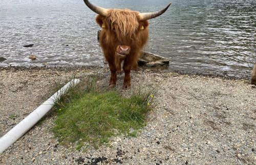 Rose Cottage - Foto 3