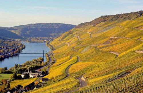 Bernkasteler Moselpanorama - Foto 22