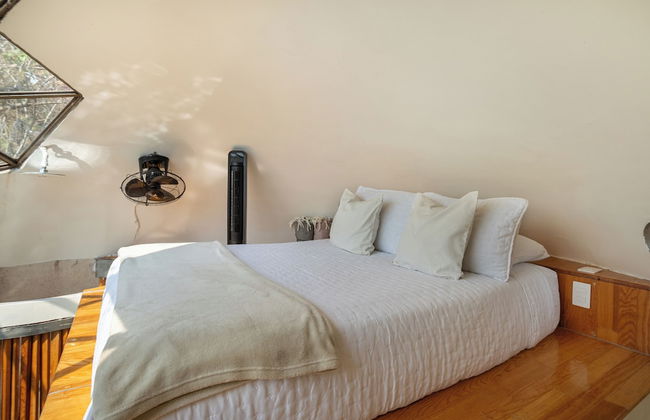 Bosque Geométrico - Foto 24