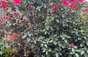 Comfortable and Convenient 4 Bedroom Home - Foto 16