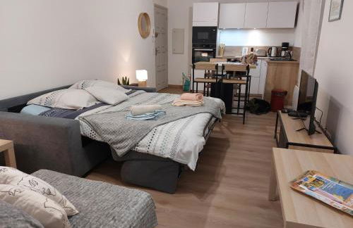 Studio du Château - Axelle Loc'Appart - Foto 5