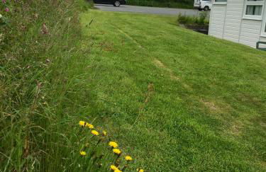 Coastal Cabin Chalet - Foto 30