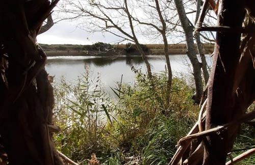 Les gîtes de Tréguennec - Photo 23