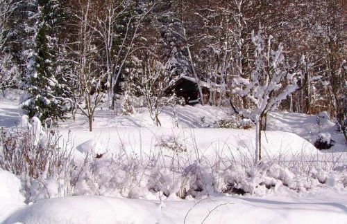 Ferienhaus in Kollnburg mit Garten - Foto 32