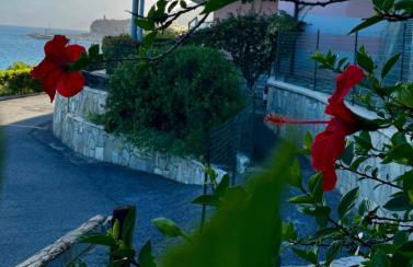 Mono Ele a Varigotti - Photo 16