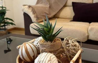 Apartamento Miranda - Foto 13