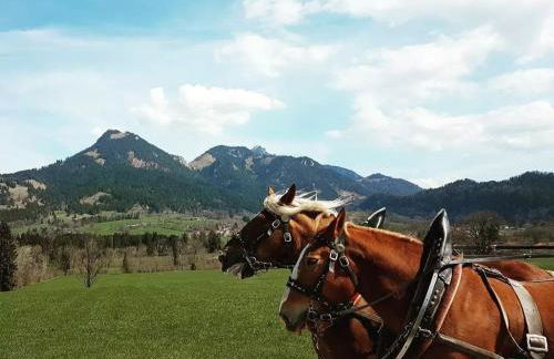 Ferienhaus Faistenau - Foto 19