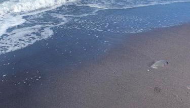 Andi Casa - Sicilia - vista mare - Foto 2