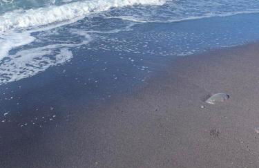 Andi Casa - Sicilia - vista mare - Foto 2