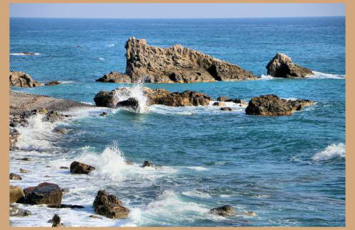 Case Natura - Foto 33