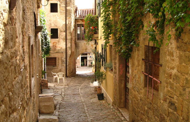 Istria Food Tour - Foto 4