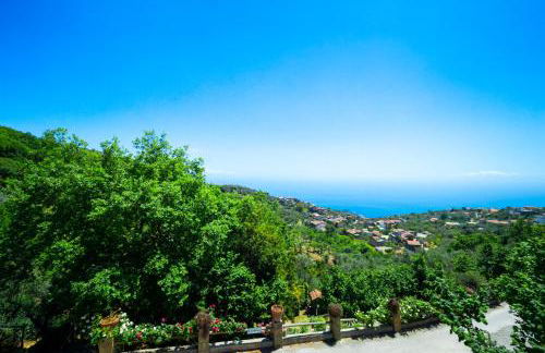 Agriturismo Fattoria Terranova - Foto 88