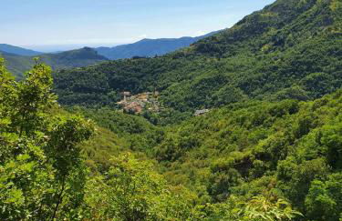 Il Bosco di Campo Marzano studios - Foto 48