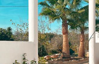 La Quinta da Liberdade - Ferme de charme en Algarve - Foto 7