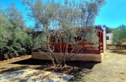 Gabi Mobile home - Foto 4