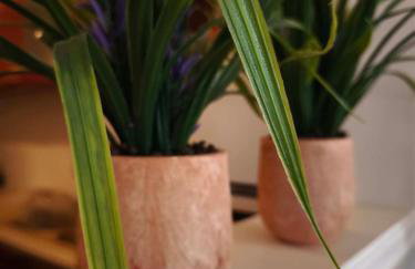 Sweet Home Amfilochia - Foto 9